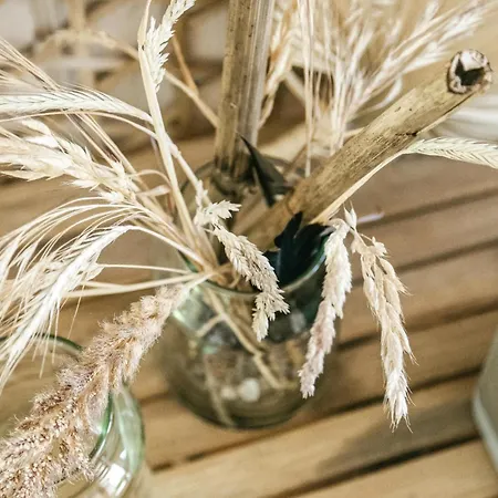 Bellevue Sydals Ix *